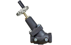 Globe Valves